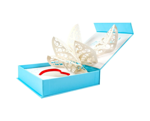 fancy cosmetic gift box with a butterfly paper insert