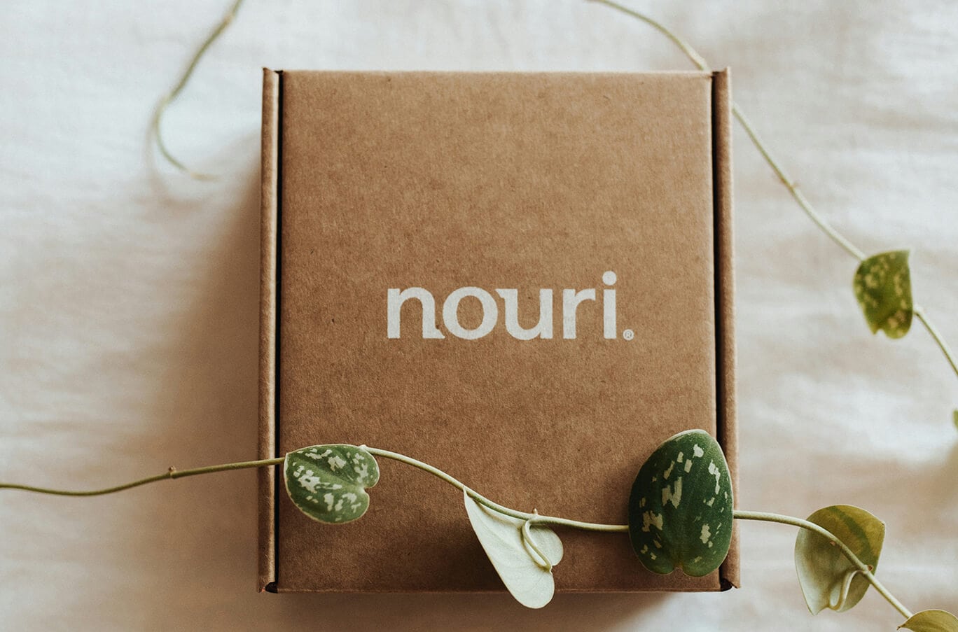 a kraft paper packaging subscription box with some decor flowers