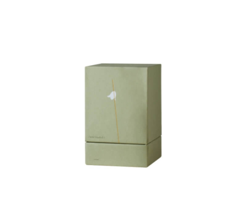 Green eco diffuser box with delicate design – sustainable diffuser boxes wholesale option